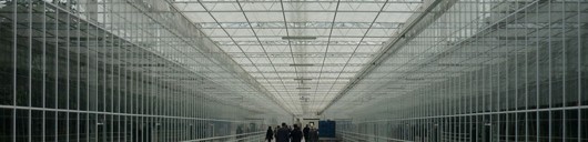 news1108-01 news1108-01