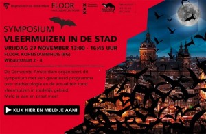 vleermuizenbeeld